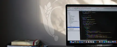Website Development and Maintenance