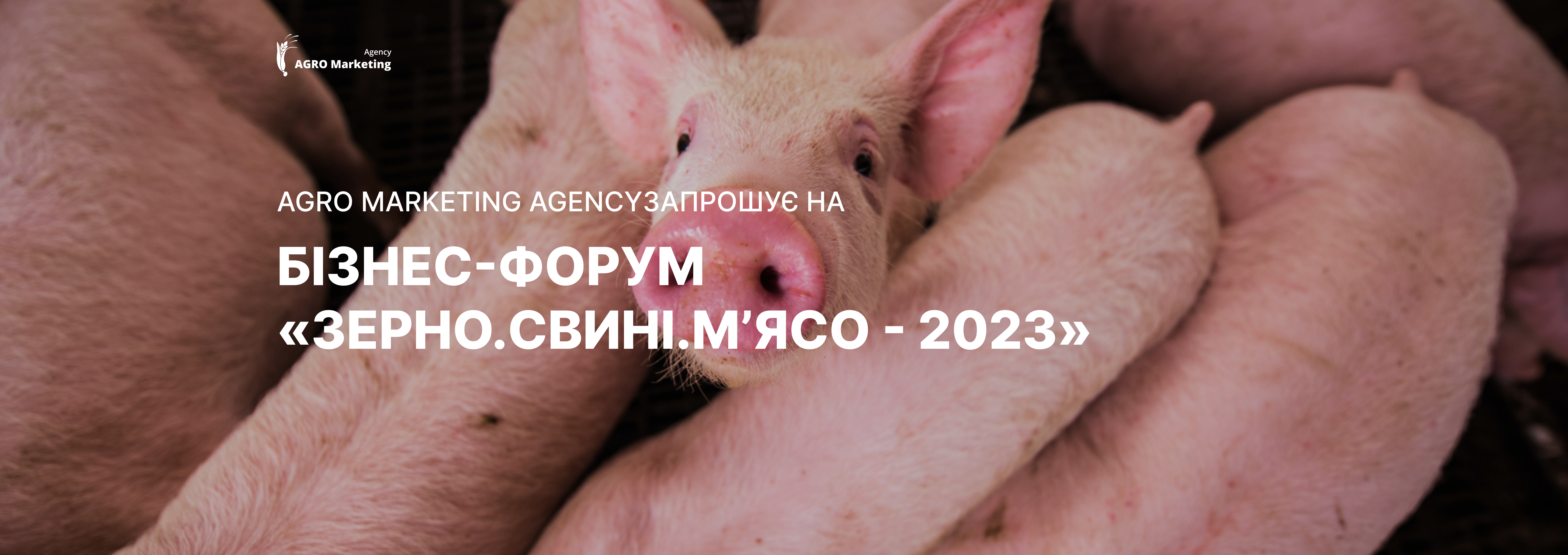 We Invite You to the Business Forum 