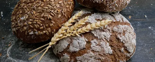 Создание сайта на основе WordPress | AGRO Marketing Agency