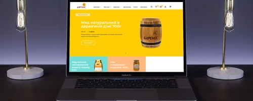 SEO-оптимизация сайта bartnik