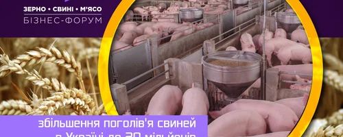 «Зерно.Свиньи.Мясо-2023» от AGRO Marketing Ageency
